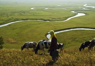 我国青藏高寒区草牧业发展的趋势与前景