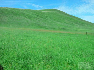 呼伦贝尔陈巴尔虎旗4900亩优质草场及牧业配套设施整体租售，助力现代牧业发展