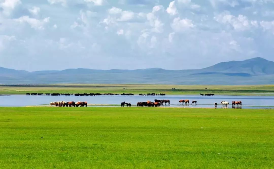旅游+农牧业助力我省全域旅游腾飞